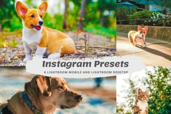 Download Influencer Lightroom Instagram Presets - Instagram Collection