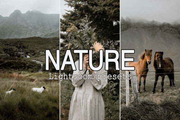 Download 9 Moody Nature Lightroom Presets - Nature lightroom presets Collection