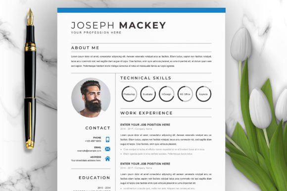 Download Professional Clean Resume/CV - Professional Collection