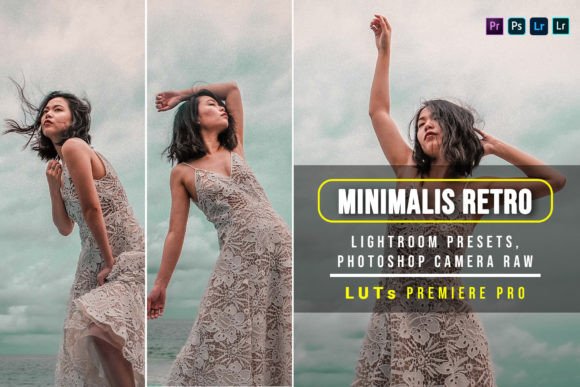 Download 5 Minimalist Retro Presets and Luts - Retro presets Collection